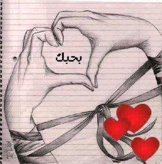 إسلام محمد محمد أنا أبن حلال من مصر أبحث عن زوجة - موقع زواج عرسان إسلام محمد محمد أنا أبن حلال من مصر أبحث عن زوجة - موقع زواج عرسان