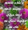 wadll  أنا أبن حلال من سوريا  أبحث  عن زوجة - موقع زواج عرسان