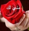 القلب اطيب   أنا أبن حلال من اليمن  أبحث  عن زوجة - موقع زواج عرسان