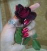 سوررية وأفتخرر  أنا بنت حلال من سوريا  أبحث  عن زوج - موقع زواج عرسان
